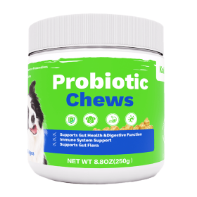 OEM Hot Sales Probiotics Chews For Pets Customized Shape (Option: 1pc)