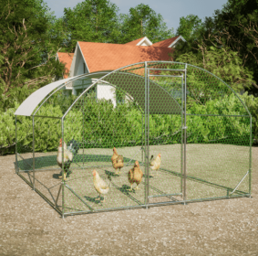 10x13 Foot Dome Chicken Coop (Option: 10x13Foot)
